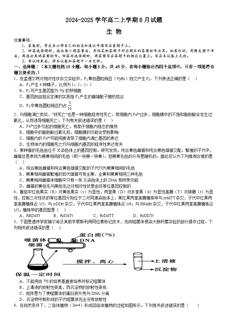 河南省安阳市林州市第一中学2024-2025学年高二上学期8月月考生物试题（Word版附解析）第1页
