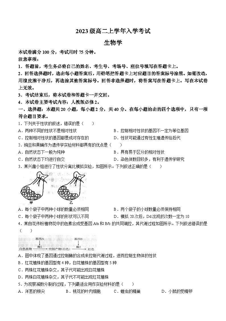 黑龙江省龙东十校2024-2025学年高二上学期开学联考生物试题（Word版附答案）第1页