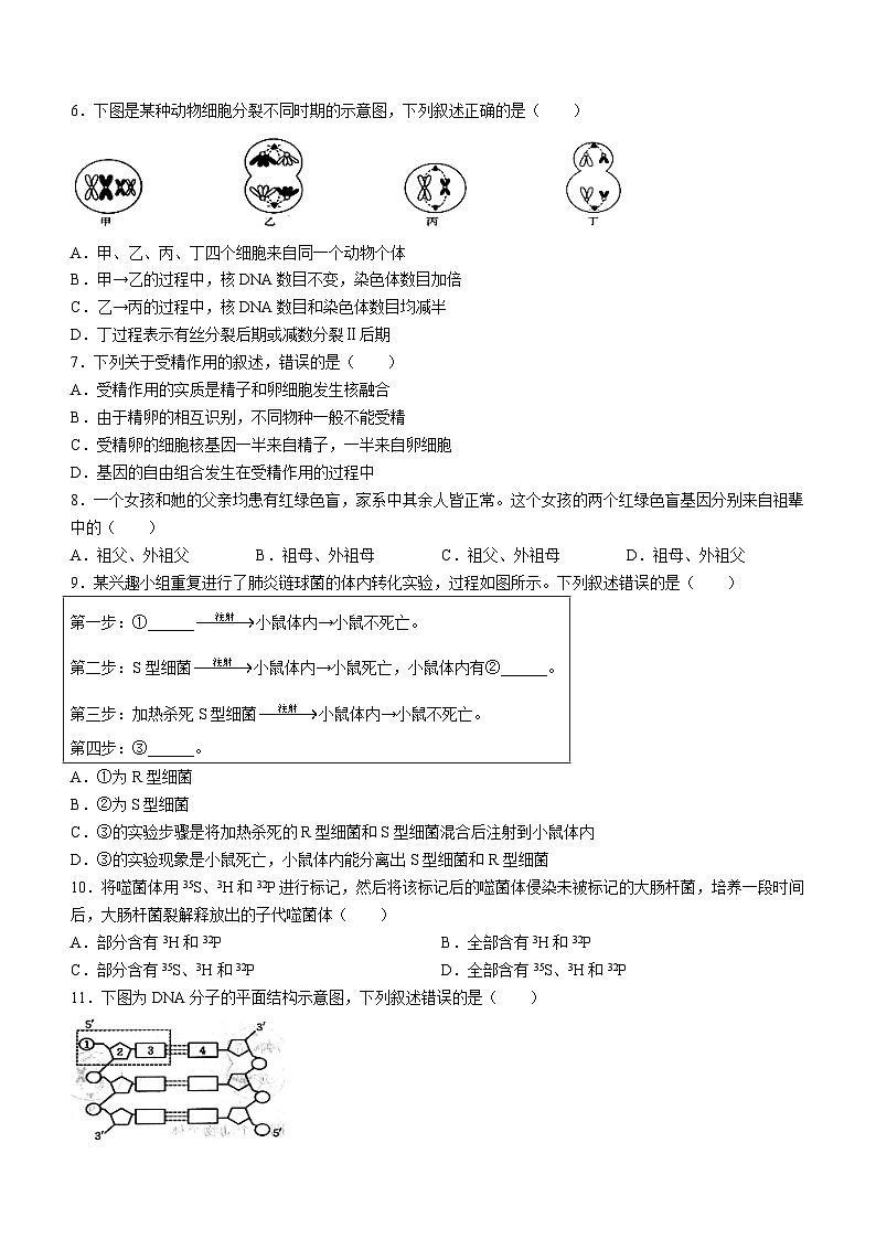 黑龙江省龙东十校2024-2025学年高二上学期开学联考生物试题（Word版附答案）第2页
