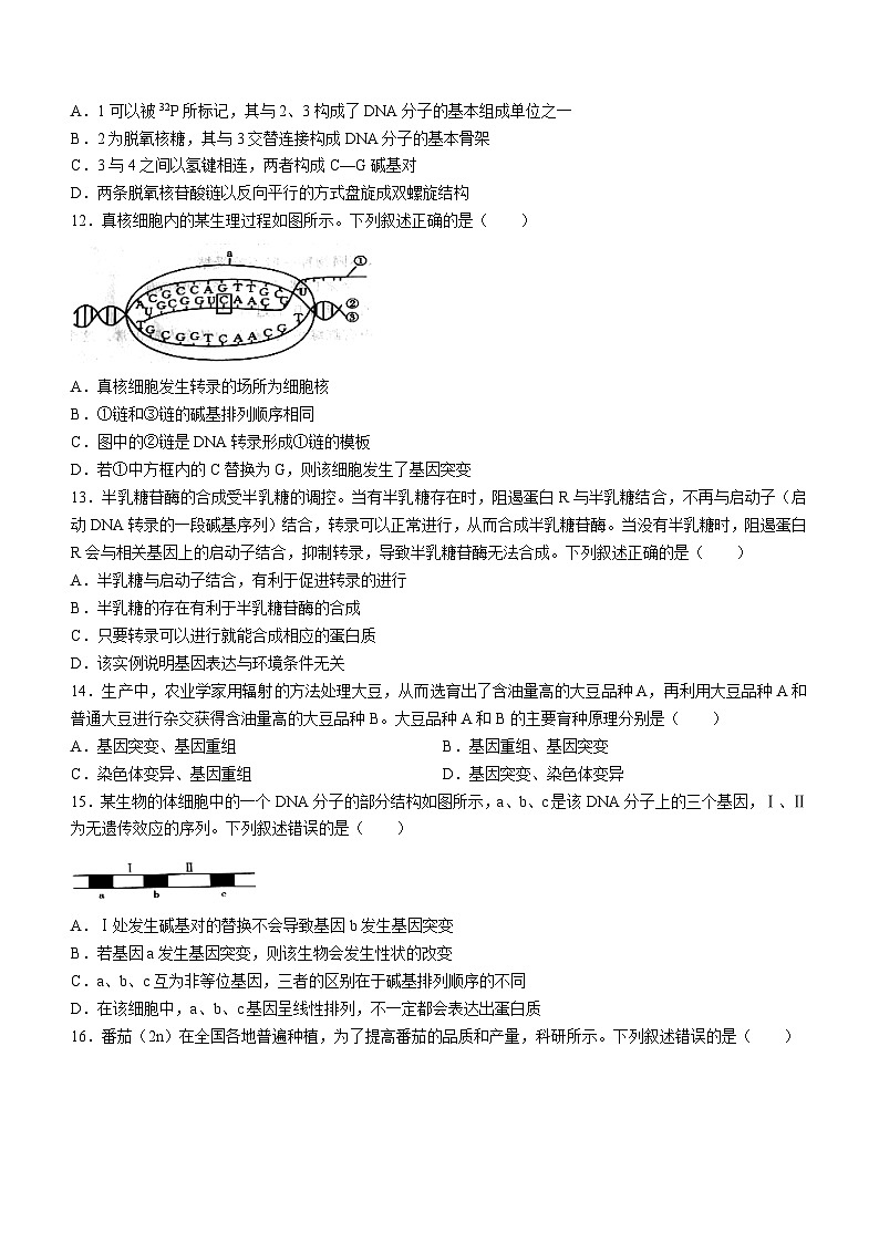 黑龙江省龙东十校2024-2025学年高二上学期开学联考生物试题（Word版附答案）第3页