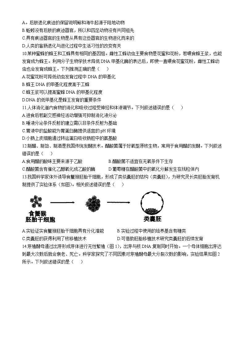 江苏省泰州中学2024-2025学年高三上学期开学考试生物试题（Word版附答案）03