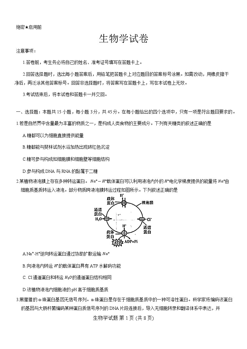 山西省吕梁市2024-2025学年高三上学期开学摸底考试生物试题（Word版附解析）01