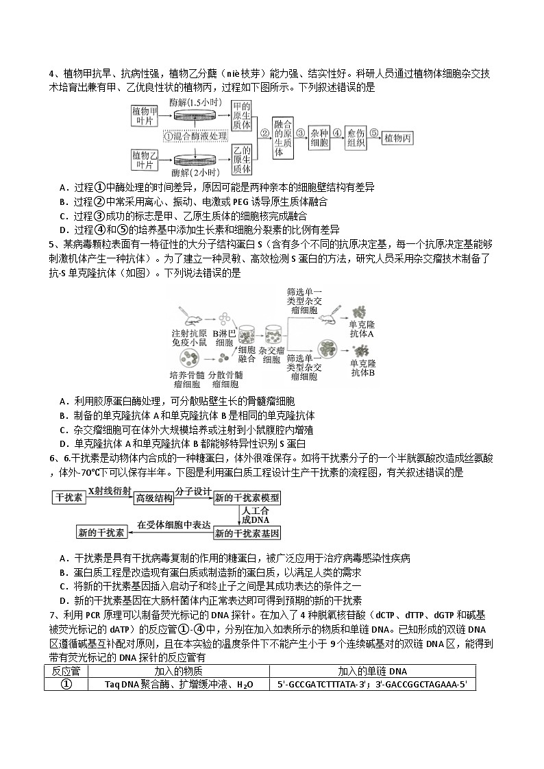 四川省成都市石室中学2024-2025学年高三上学期开学考试生物试题（Word版附解析）02