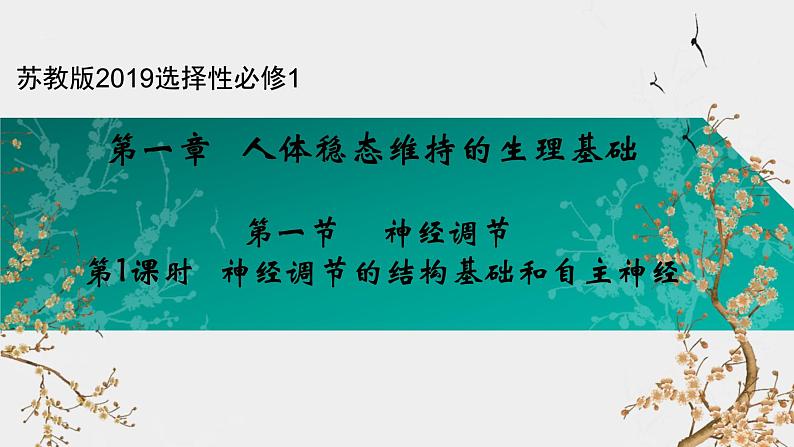 苏教版2019高二生物选修一 1.1 神经调节（第1课时） 课件01