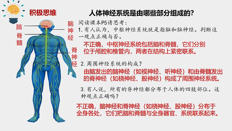 苏教版2019高二生物选修一 1.1 神经调节（第1课时） 课件06