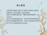 苏教版2019高二生物选修一 1.1 神经调节（第3课时） 课件