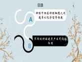 苏教版2019高二生物选修一 1.1 神经调节（第3课时） 课件