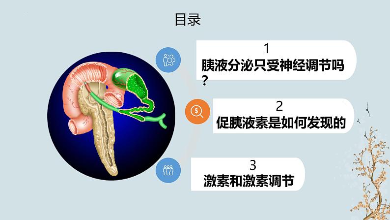 苏教版2019高二生物选修一 1.2 体液调节（第1课时） 课件03