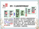 苏教版2019高二生物选修一 1.2 体液调节（第3课时） 课件