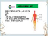 苏教版2019高二生物选修一 2.4 体温稳定的调节 课件