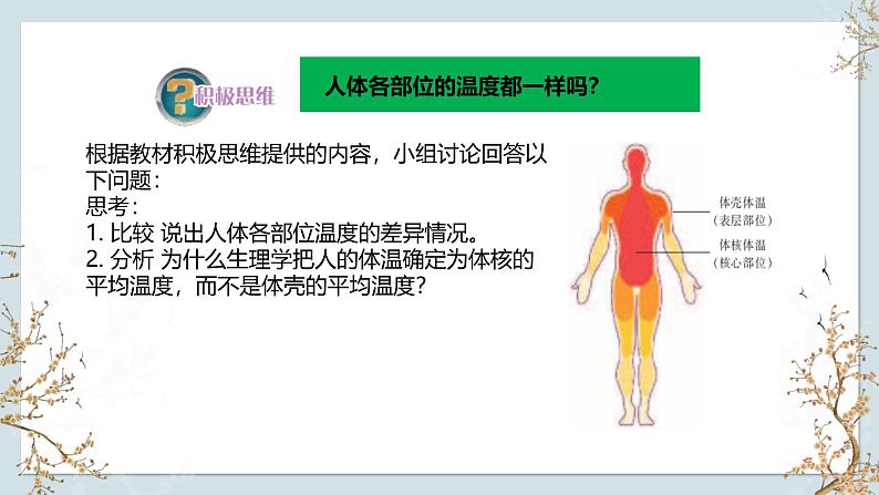 苏教版2019高二生物选修一 2.4 体温稳定的调节 课件05