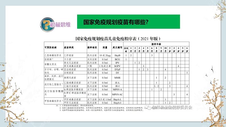 苏教版2019高二生物选修一 3.1 人体的免疫应答（第1课时） 课件05