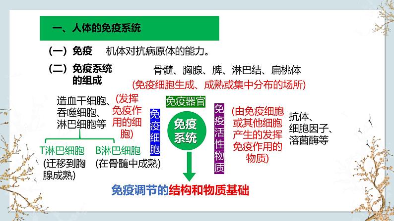 苏教版2019高二生物选修一 3.1 人体的免疫应答（第1课时） 课件07