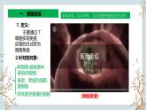 苏教版2019高二生物选修一 3.1 人体的免疫应答（第4课时） 课件