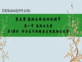 苏教版2019高二生物选修一 4.1 植物生长素（第1课时） 课件