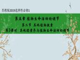 苏教版2019高二生物选修一 4.2 其他植物激素（第3课时） 课件