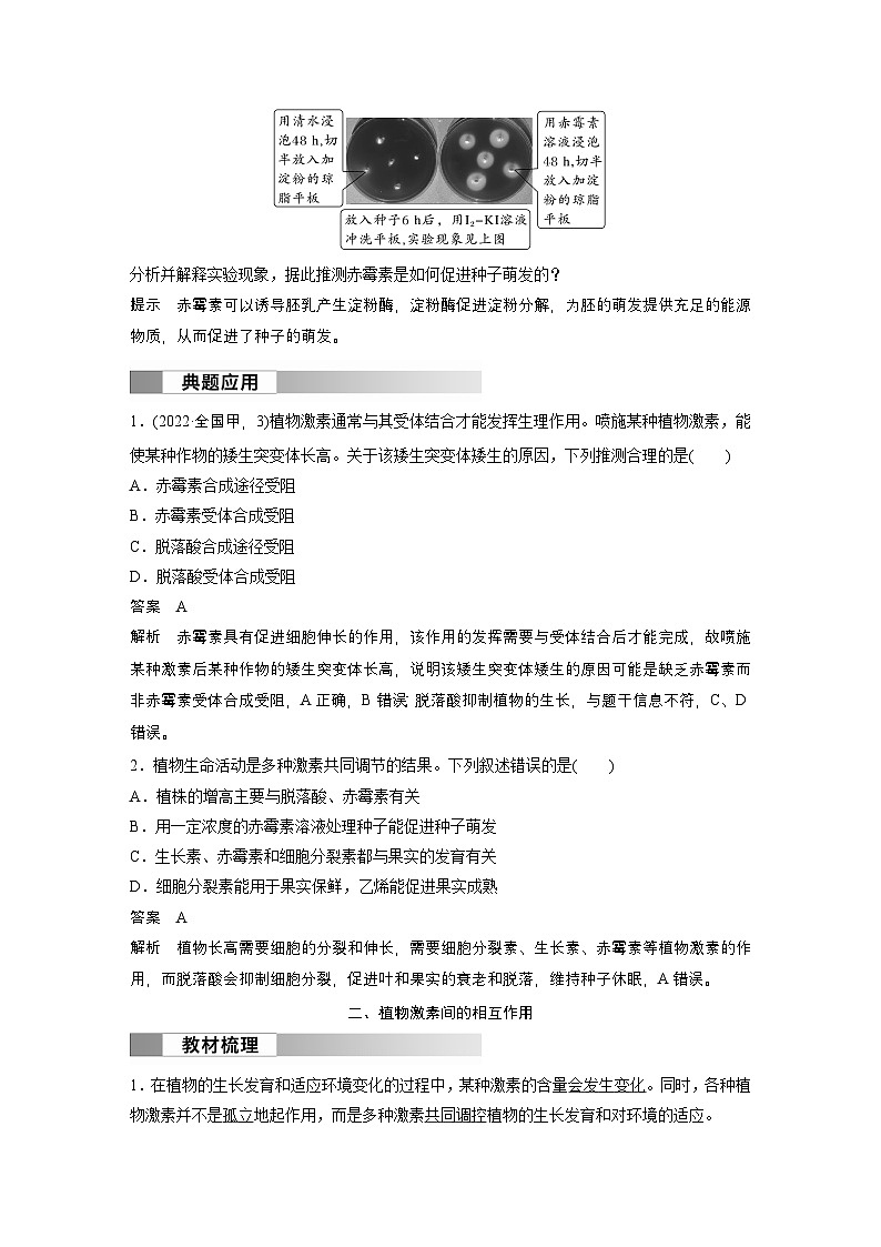 2024高中生物选择性必修第一册（人教版2019）同步讲义第5章第2节其他植物激素（Word版附解析）03