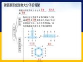 蘇教版2019高一生物必修一1.2 細胞中的糖類和脂質(zhì)（課件）