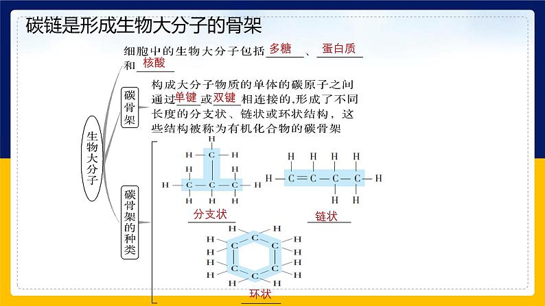 苏教版2019高一生物必修一1.2 细胞中的糖类和脂质（课件）05