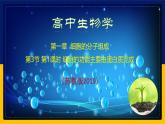 苏教版2019高一生物必修一1.3.1 细胞的功能主要由蛋白质完成（课件）