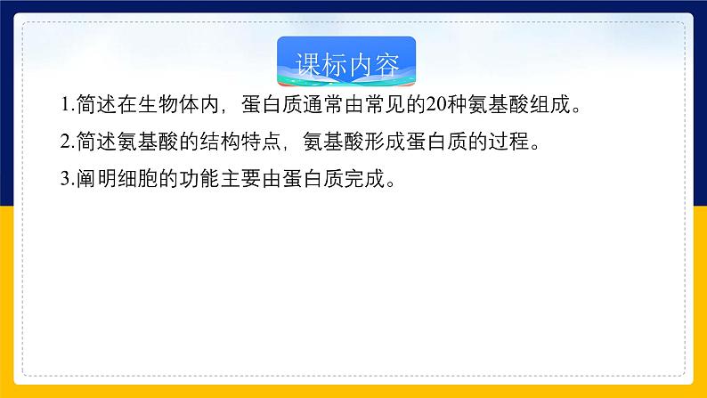 苏教版2019高一生物必修一1.3.1 细胞的功能主要由蛋白质完成（课件）02