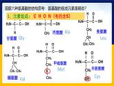 苏教版2019高一生物必修一1.3.1 细胞的功能主要由蛋白质完成（课件）