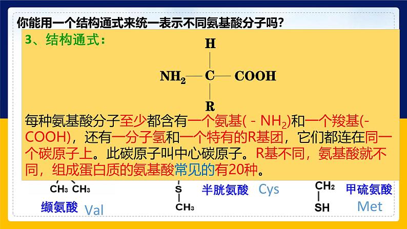 苏教版2019高一生物必修一1.3.1 细胞的功能主要由蛋白质完成（课件）07