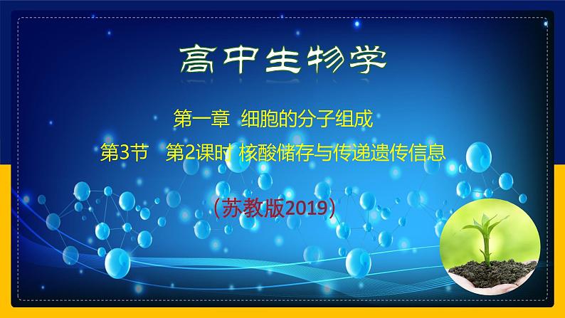 苏教版2019高一生物必修一1.3.2 核酸储存与传递遗传信息（课件）01