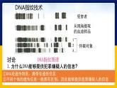 苏教版2019高一生物必修一1.3.2 核酸储存与传递遗传信息（课件）