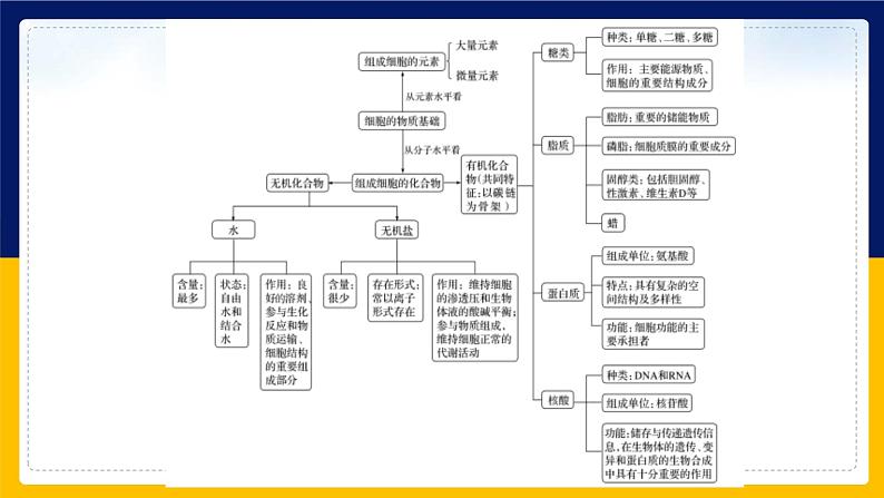 苏教版2019高一生物必修一第一章 细胞的分子组成（单元复习课件）03