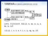 苏教版2019高一生物必修一第一章 细胞的分子组成（单元复习课件）