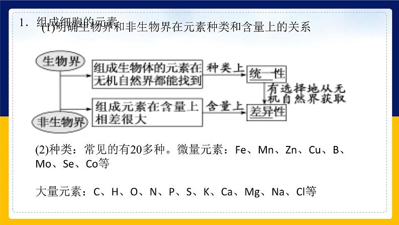 苏教版2019高一生物必修一第一章 细胞的分子组成（单元复习课件）05