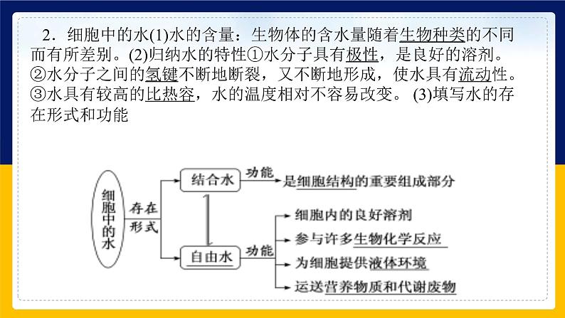 苏教版2019高一生物必修一第一章 细胞的分子组成（单元复习课件）06