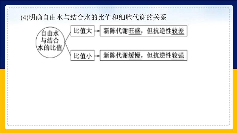 苏教版2019高一生物必修一第一章 细胞的分子组成（单元复习课件）07