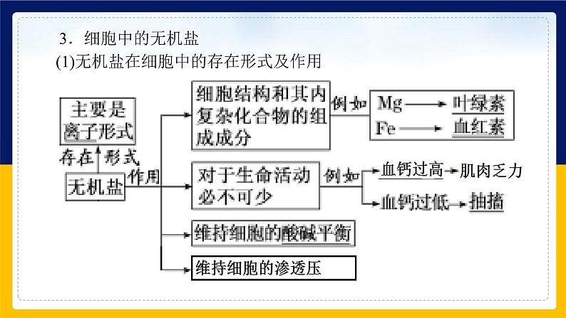 苏教版2019高一生物必修一第一章 细胞的分子组成（单元复习课件）08