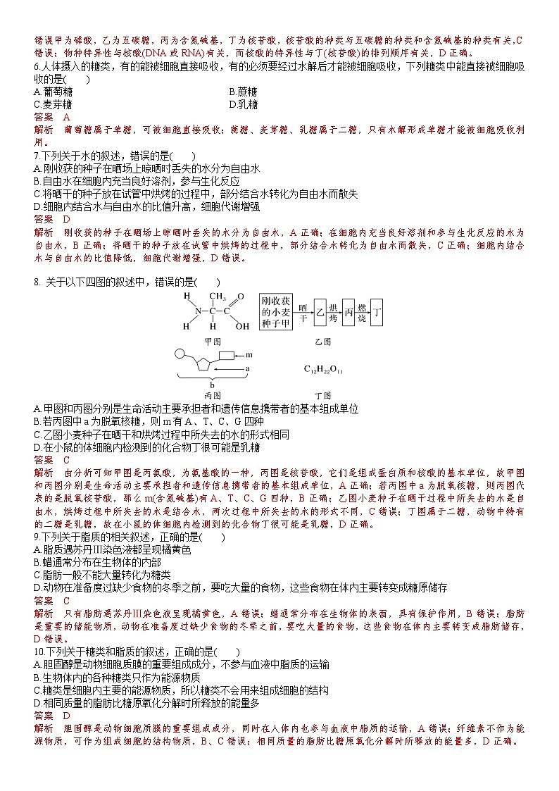 苏教版2019高一生物必修一第一章 细胞的分子组成（单元测试）02