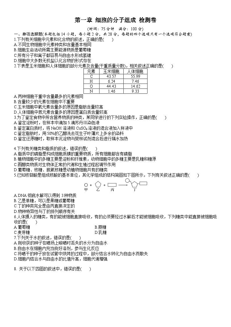 苏教版2019高一生物必修一第一章 细胞的分子组成（单元测试）01