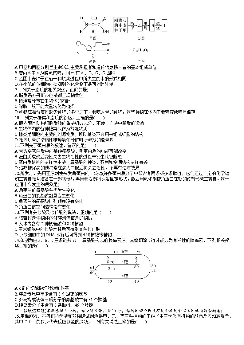 苏教版2019高一生物必修一第一章 细胞的分子组成（单元测试）02
