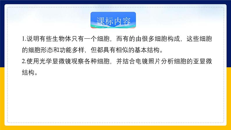 苏教版2019高一生物必修一2.1 细胞学说——现代生物学的“基石”（课件）02