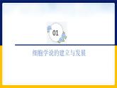 苏教版2019高一生物必修一2.1 细胞学说——现代生物学的“基石”（课件）