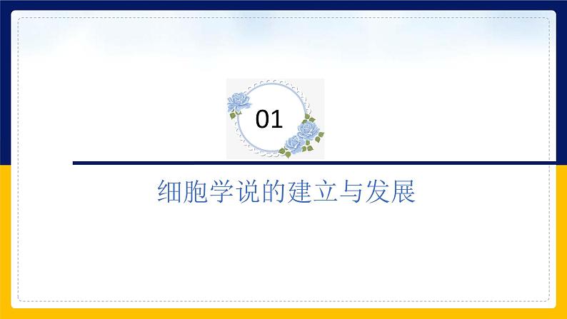 苏教版2019高一生物必修一2.1 细胞学说——现代生物学的“基石”（课件）03