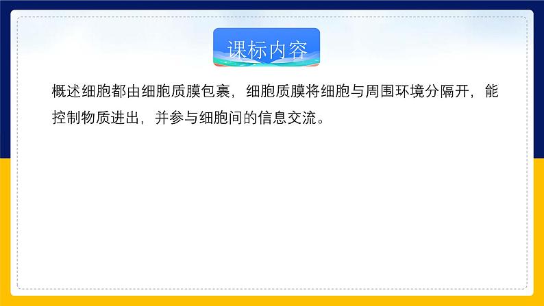 苏教版2019高一生物必修一2.2.1 细胞的结构和生命活动——细胞质膜（课件）02