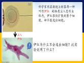 苏教版2019高一生物必修一2.2.1 细胞的结构和生命活动——细胞质膜（课件）
