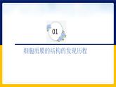 苏教版2019高一生物必修一2.2.1 细胞的结构和生命活动——细胞质膜（课件）