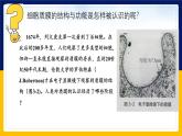 苏教版2019高一生物必修一2.2.1 细胞的结构和生命活动——细胞质膜（课件）