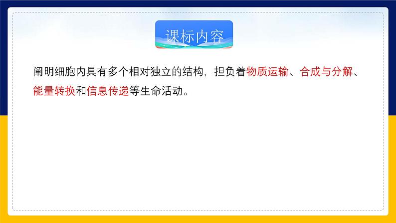 苏教版2019高一生物必修一2.2.2 细胞的结构和生命活动——细胞器（课件）02