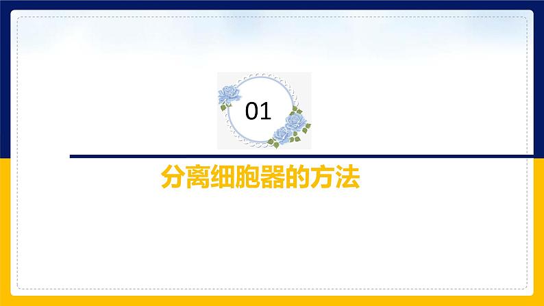 苏教版2019高一生物必修一2.2.2 细胞的结构和生命活动——细胞器（课件）05