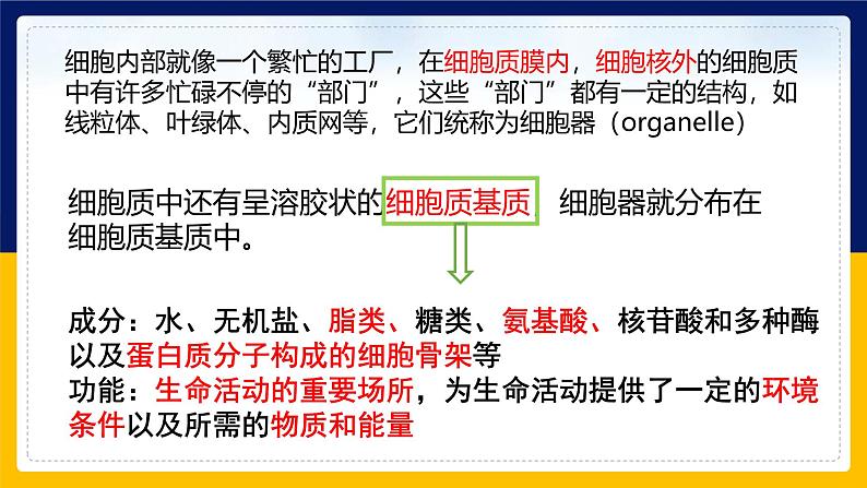 苏教版2019高一生物必修一2.2.2 细胞的结构和生命活动——细胞器（课件）08