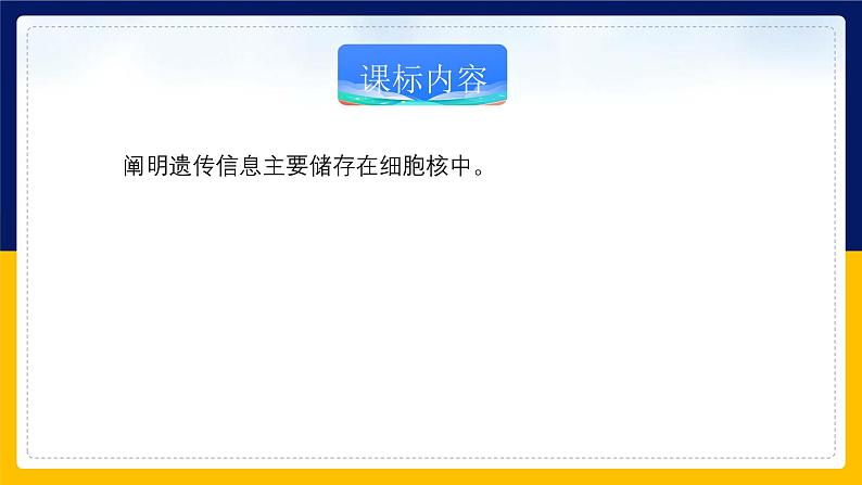 苏教版2019高一生物必修一2.2.3 细胞的结构和生命活动——细胞核（课件）02