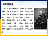 苏教版2019高一生物必修一2.2.3 细胞的结构和生命活动——细胞核（课件）